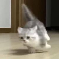 🌀คุยเล่น 24 ชม.〰️ 🥨