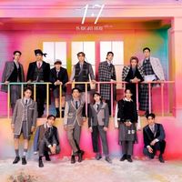 Seventeen 代購群 Emily