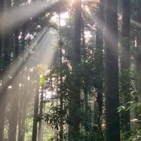 日本12/1-12/5