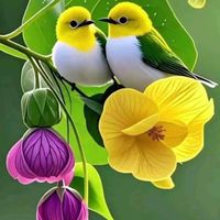ฟ้าใส 1