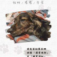 《毛毛獸》飼料／零食團購兜底家