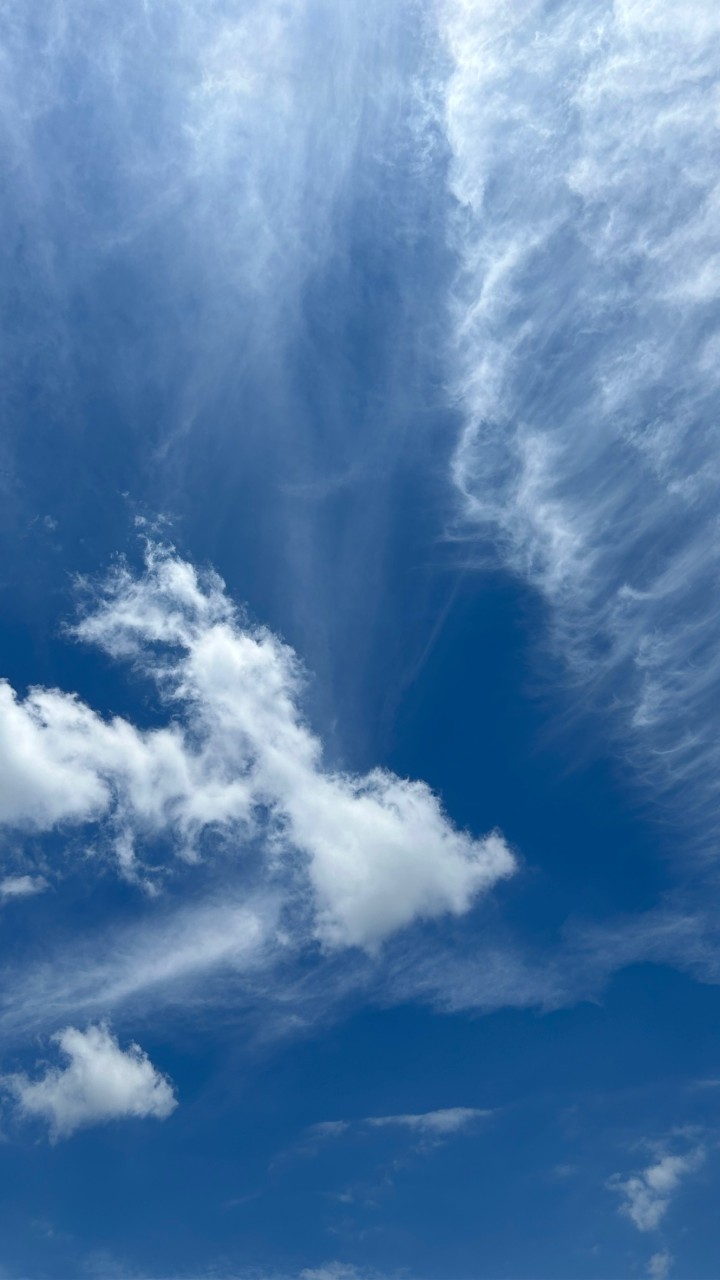 漫画･小説･イラスト･二次創作の手伝い＆雑談