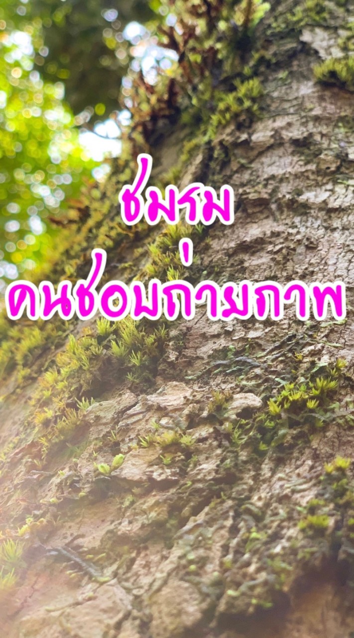 ชมรมคนชอบถ่ายภาพ
