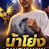 ข่าวสารไก่ชน น้าโย่ง สังเวียนไก่