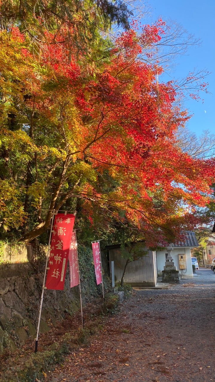 群馬県近郊でお友達作りましょう♫