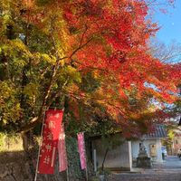 群馬県近郊でお友達作りましょう♫