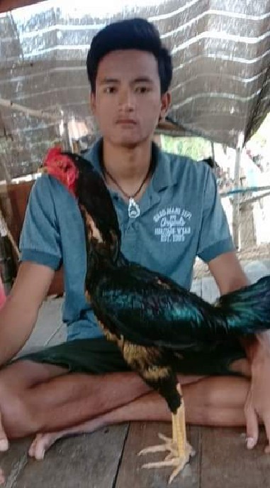 ซุ้ม ส.พาฝัน  ซื้อขายไก่ชนทุกสายพันธุ์