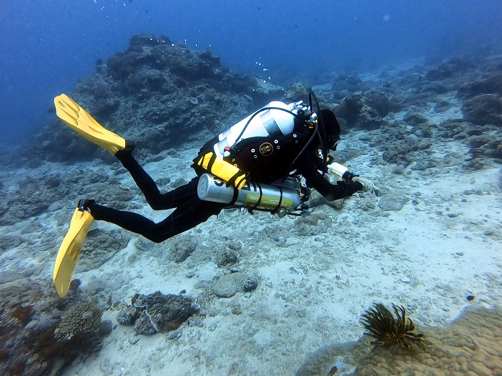 圖片提供/四分之一潛水有限公司