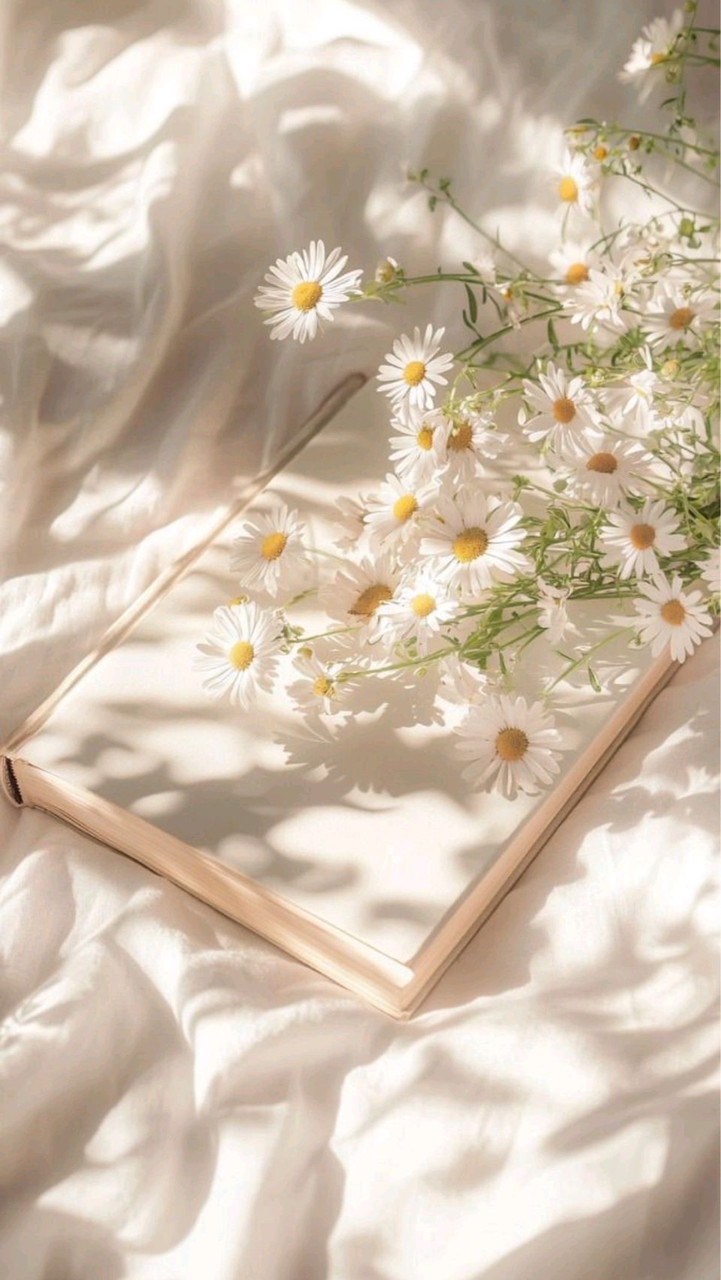 荳荳花｜正韓日本選品｜🐯🐰🐲🐍