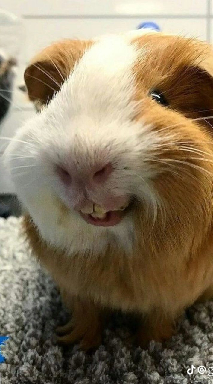 ∴✩วาดรูปแปะงานวาด✩∴