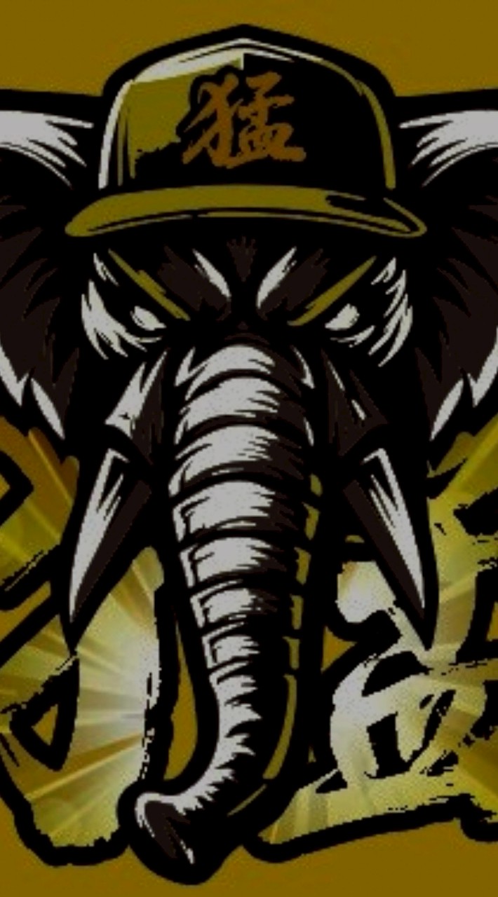 2026WY猛象招募公告區