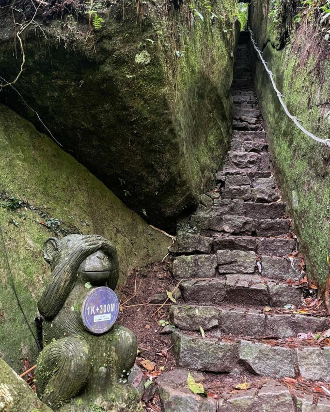 新竹登山步道/馬武督探索森林