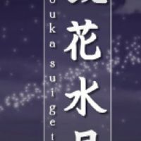 帕拉丁-鏡花水月