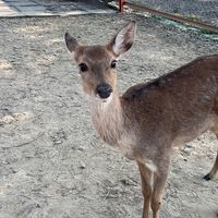 建名老師113學測