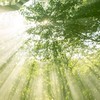 115學年/申請入學/諮商輔導