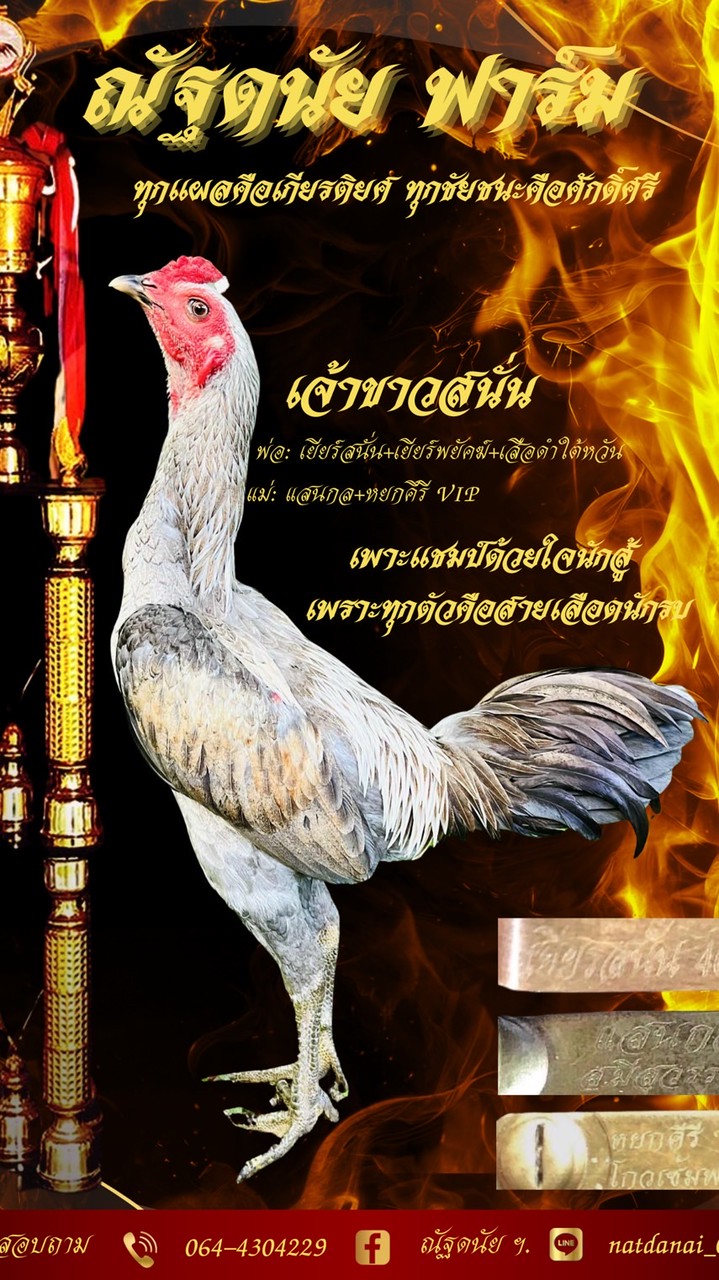 ณัฐดนัย ฟาร์ม