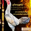 ณัฐดนัย ฟาร์ม