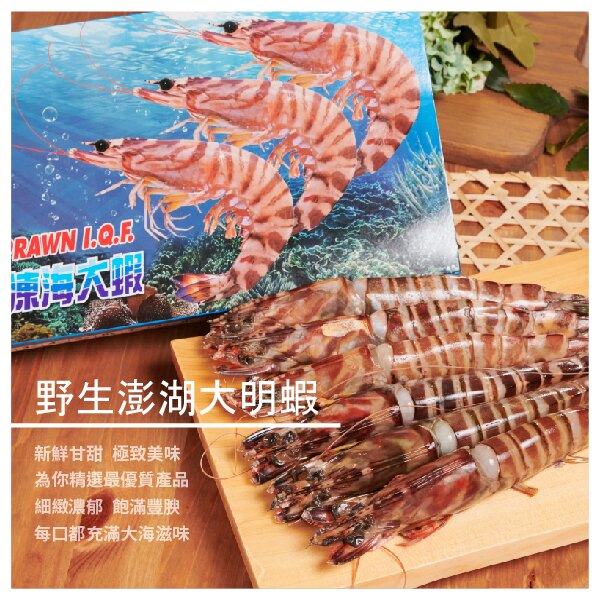 【晨食澎湖海鮮】野生澎湖海大明蝦