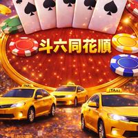 斗六同花順車隊