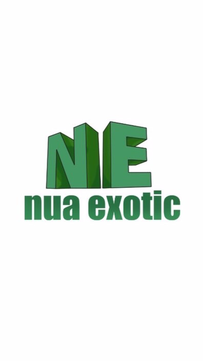 NE nua exotic