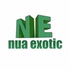 NE nua exotic