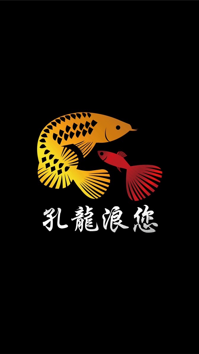 孔龍浪您🐟問題提問與魚兒🐟交流