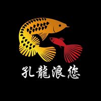 孔龍浪您🐟問題提問與魚兒🐟交流