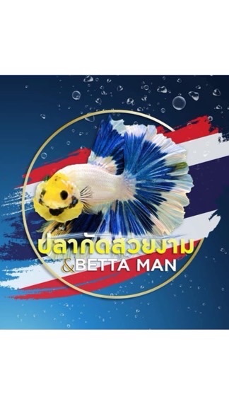 ร้านปลากัด by bettaman
