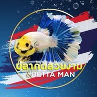 ร้านปลากัด by bettaman