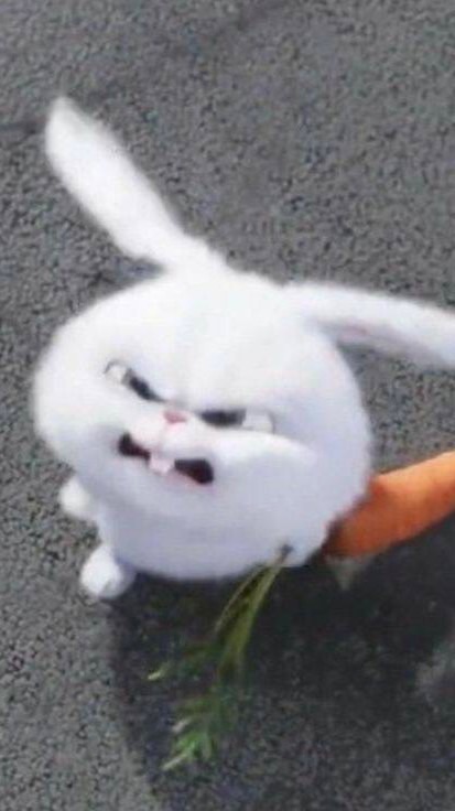 🤧린신아이 妍 素材總部