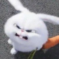 🤧린신아이 妍 素材總部