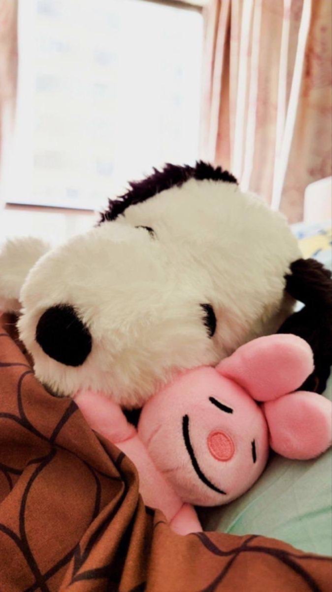 เช่าไอโฟน เรทส่ง by noey 🤲🏻🤍