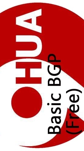 BASIC BGP FREE (VIRTUAL) by 9HUA