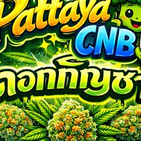 PattayaCNB 🥦ดอกไม้ราคาส่ง