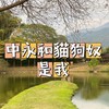 中永和貓狗奴集中營