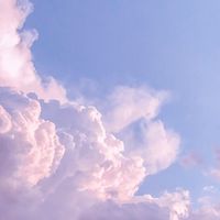 🌈安娜甘的自由接案導航社群✈️