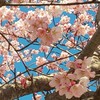 りんくすと愉快な仲間たち❤