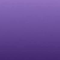 PURPLE TEAM 2025