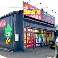 ビッグウッド松原店