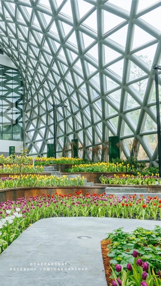 แจ้งคิวงานเยี่ยมชม Climate Dome : 8 ตุลาคม 65
