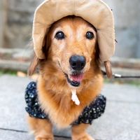 毛孩讓我失心瘋🐶一同去郊遊❤️