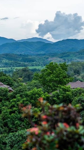 7 แจ้งข้อมูลข่าวสาร ภูใจใส เมาน์เทน รีสอร์ต