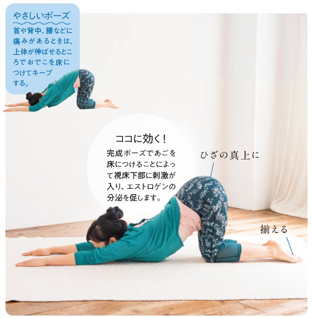 血流アップで 顔色もよくなる 50歳からのヨガ 猫の背伸びのポーズ