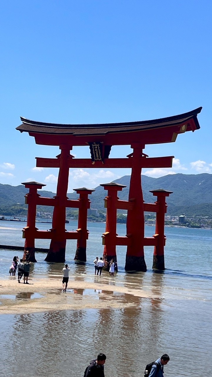 ピース広島🍁ファスティング祭り2026