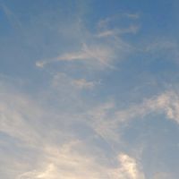 おにぎりとお惣菜の心花堂