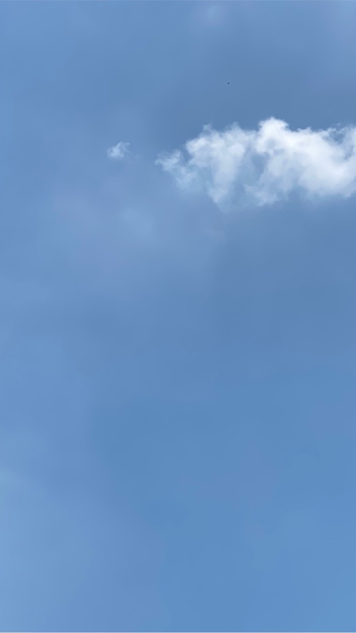 管樂的異想世界