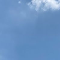 管樂的異想世界