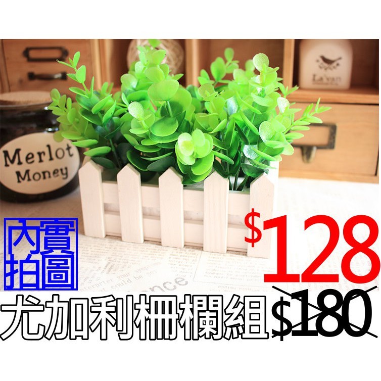 拍照道具-尤加利柵欄花組 尺寸(長)16cm*(寬)7cm 材質木質+塑膠 每個獨立opp袋包裝附上實拍圖請參考 ig熱門拍照道具直接擺拍或當裝飾擺件都可以 不拍照時放在桌上綠化也很療癒喔 拿來拍化妝