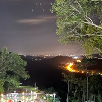 Guru Warna Ungu