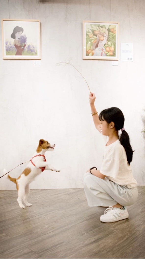 🐶😸 77汪喵分享交流星球🪐寵物友善餐廳/民宿/美食/時尚好物/手作/攝影